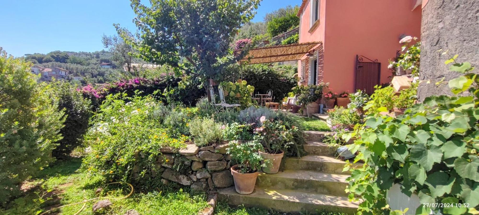 Lally'S Garden Panzió Sorrento Kültér fotó