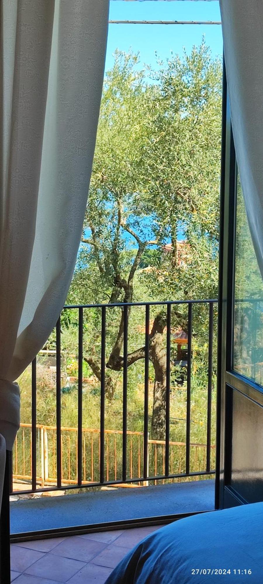 Lally'S Garden Panzió Sorrento Kültér fotó